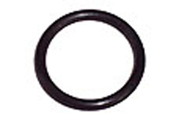 O-Ring 24 x 2,5mm (G3/4 Zoll)